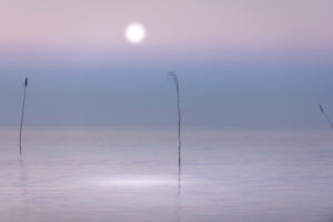 Deutschland, Niedersachsen, Ostfriesland, Juist, Morgenstimmung mit Pricke oder Prigge eine häufig im Wattenmeer verwendete Fahrwasserkennzeichnung. Deutschland, Niedersachsen, Ostfriesland, Juist, Morgenstimmung mit Pricke oder Prigge eine häufig im Wattenmeer verwendete Fahrwasserkennzeichnung.